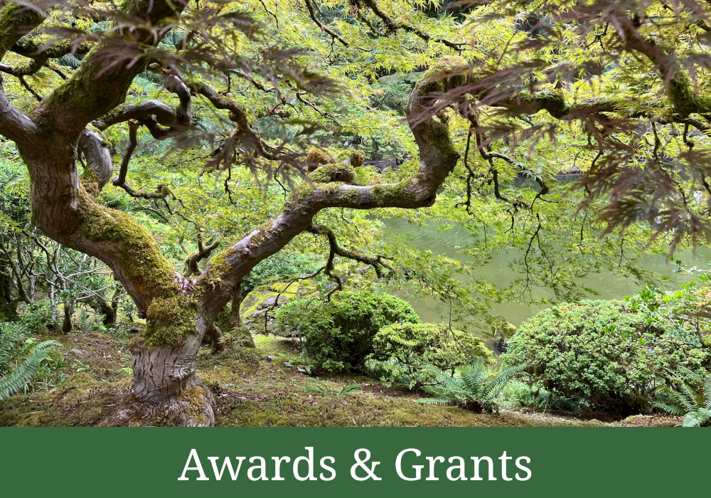 Awards and Grants link